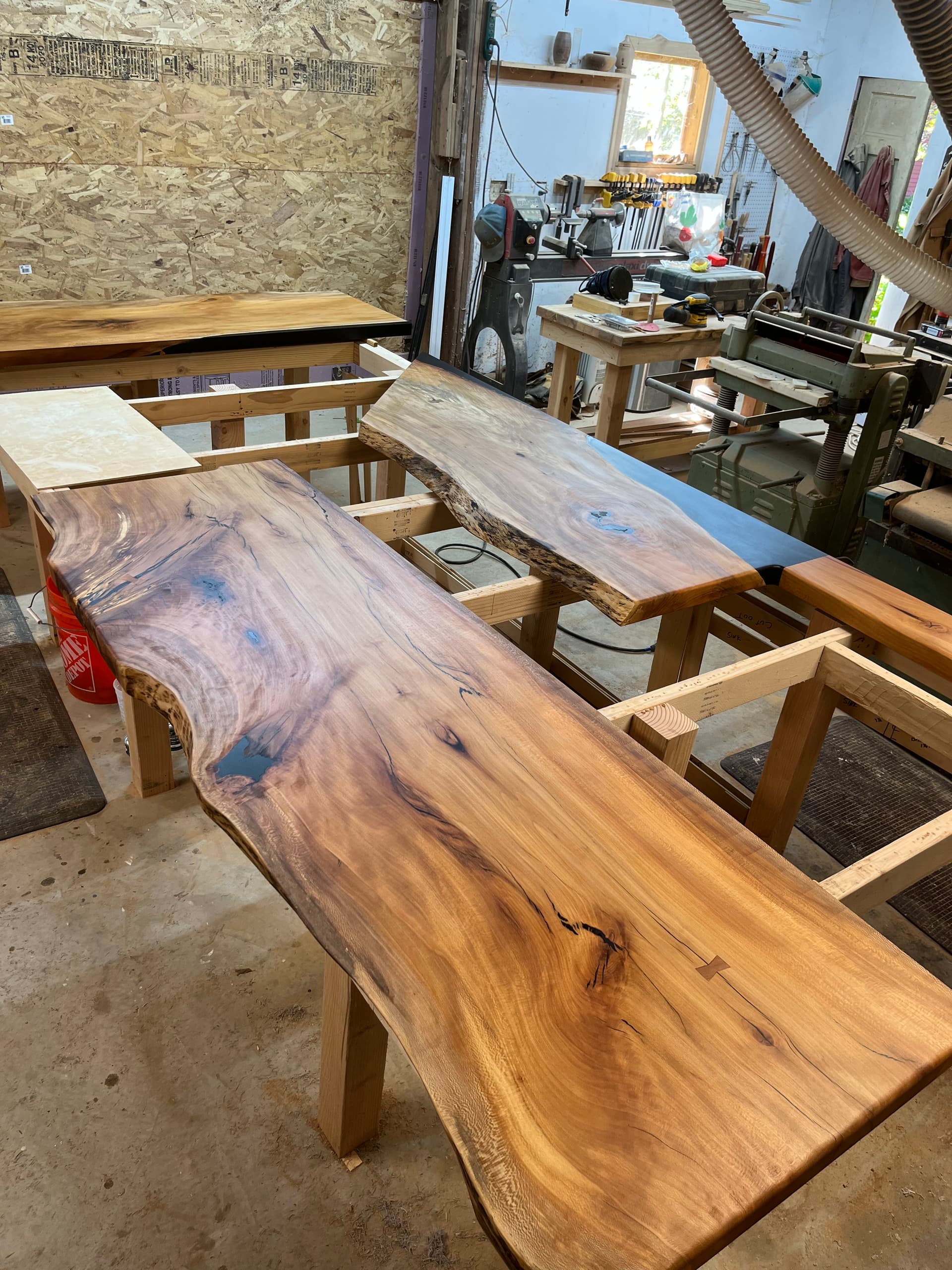 Dark live edge walnut slab on sawhorses in the shop showing rich chocolate grain and figure