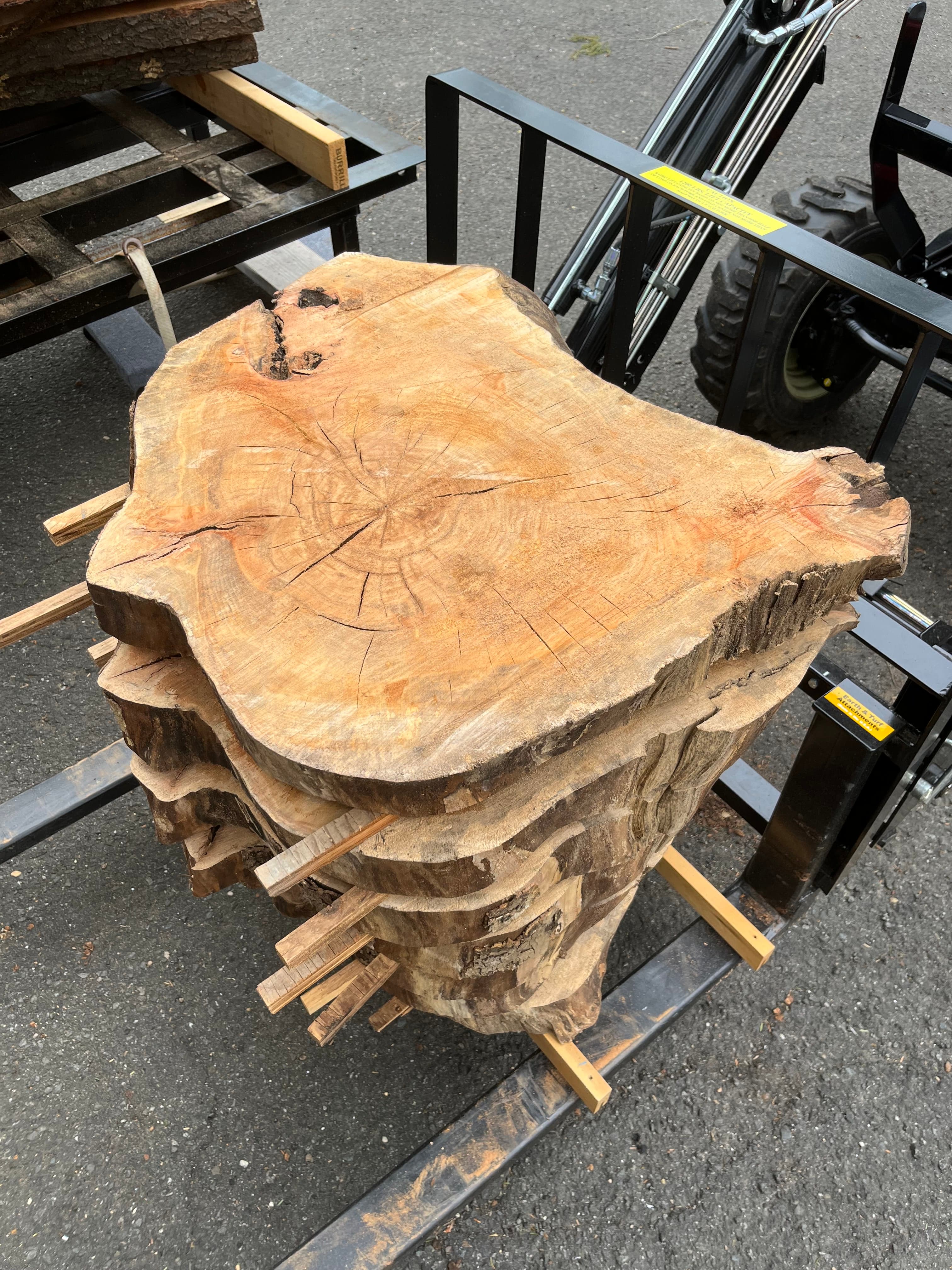 Large Burl Round Slices Stacked Outdoors | Tougas Timberworks Monroe CT
