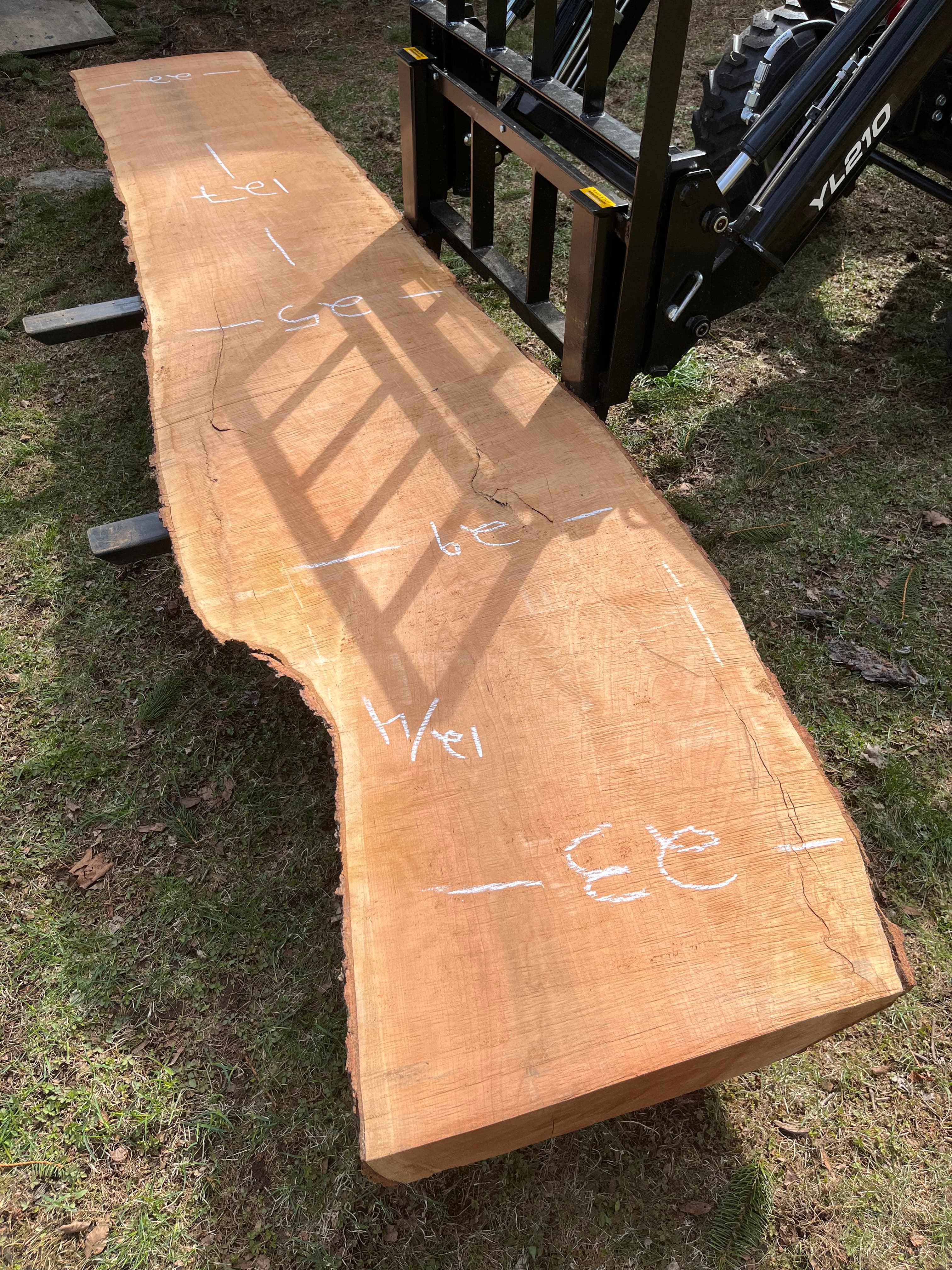 Large Live Edge Slab Chalk Measured Outdoors | Tougas Timberworks Monroe CT