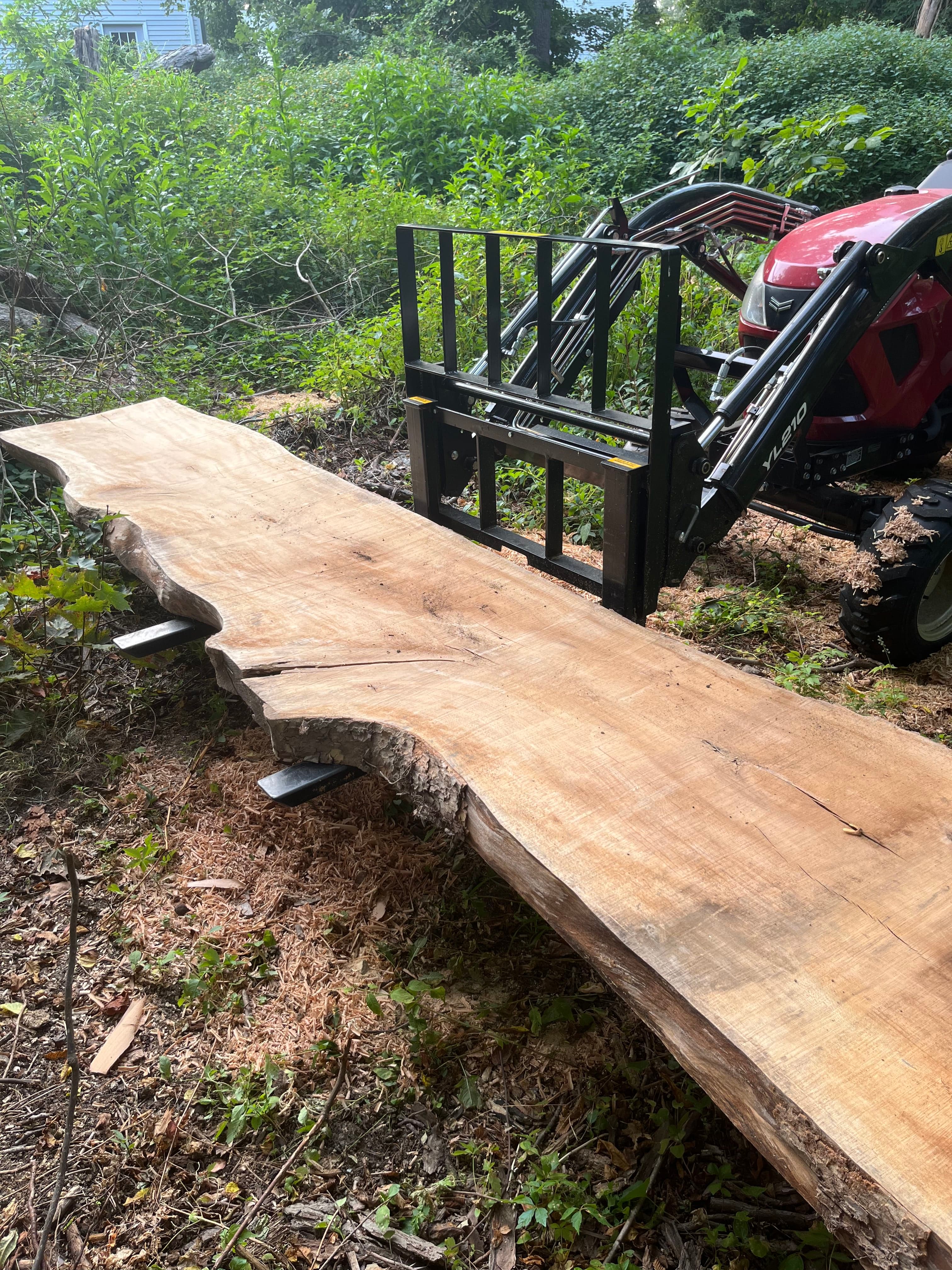 Large Live Edge Slab On Sawhorses Outdoors | Tougas Timberworks Monroe CT
