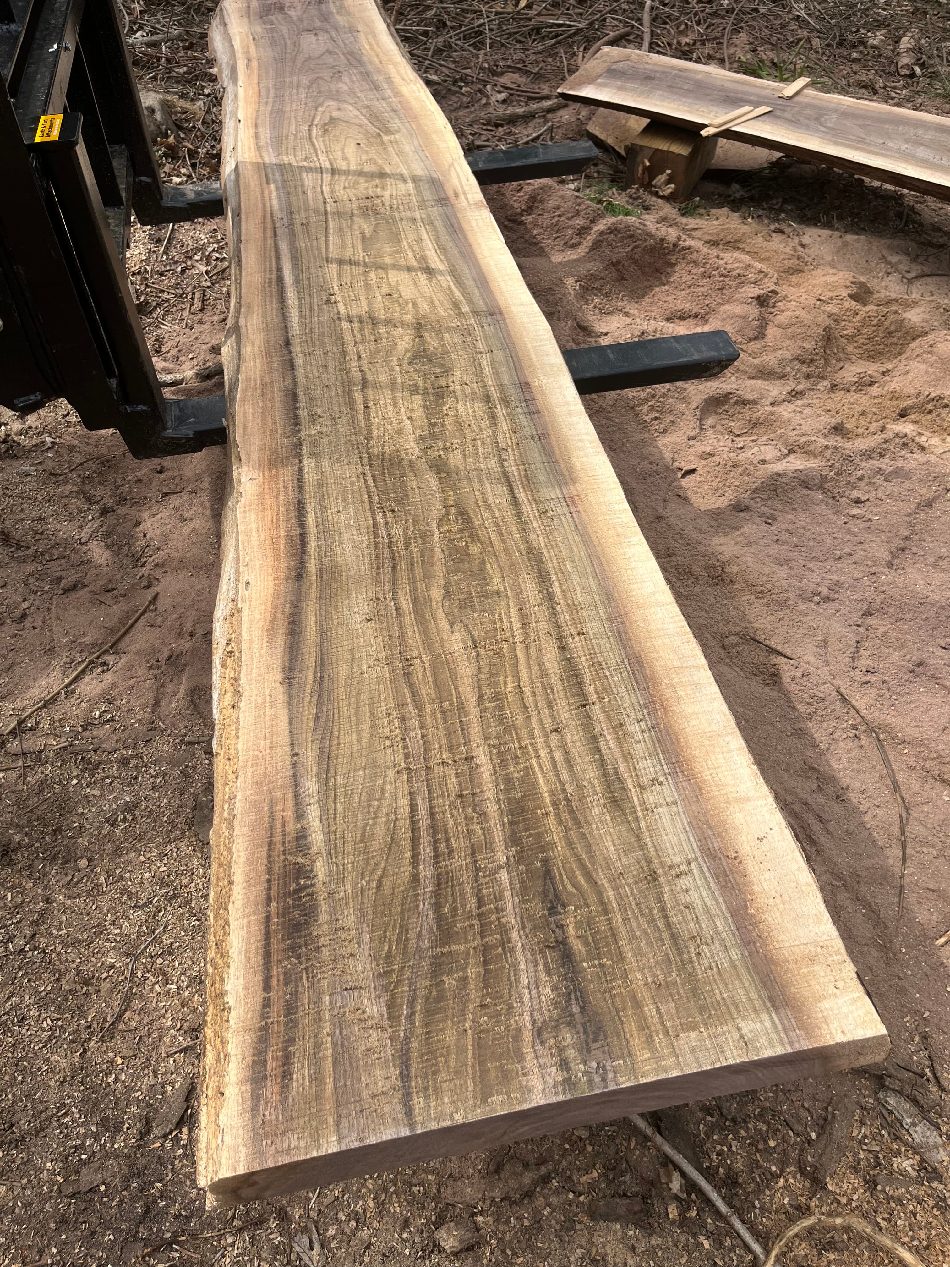 Large Live Edge Slab On Sawhorses Outdoors | Tougas Timberworks Monroe CT
