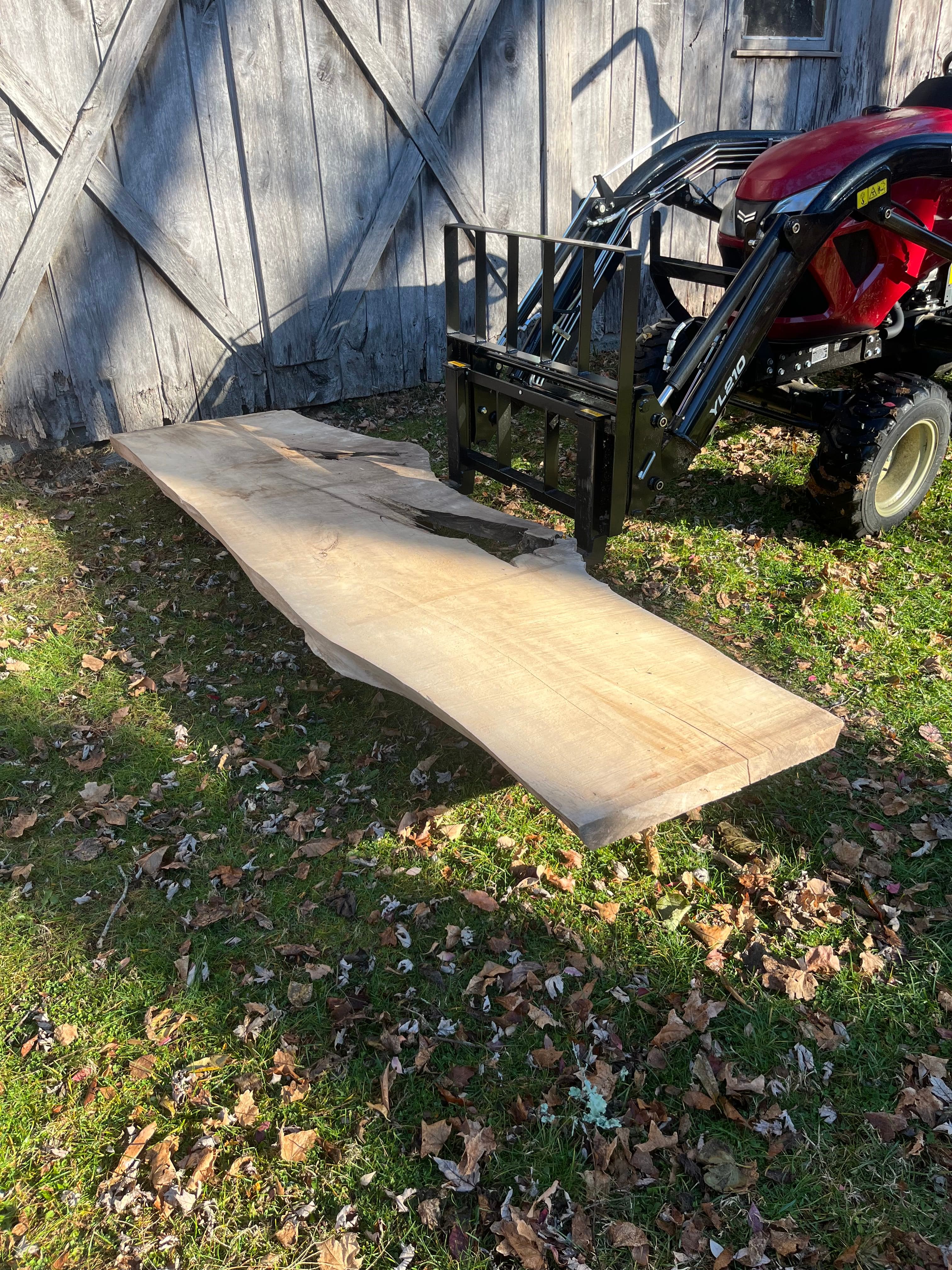 Live Edge Slab Propped Outdoors Fall | Tougas Timberworks Monroe CT