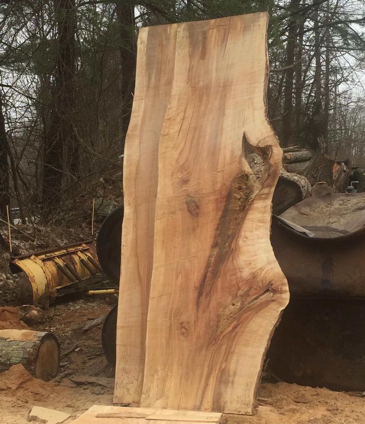 Live Edge Slab Standing Outdoors | Tougas Timberworks Monroe CT