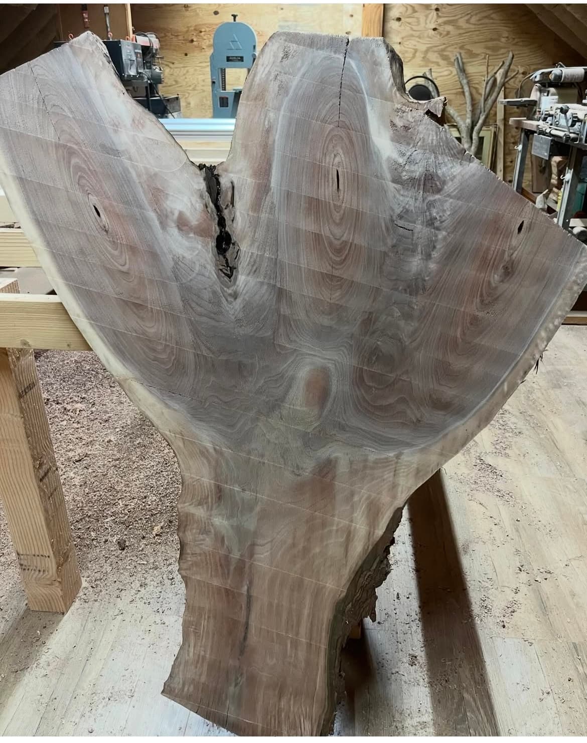 Live Edge Slabs Stacked On Trailer Outdoor | Tougas Timberworks Monroe CT