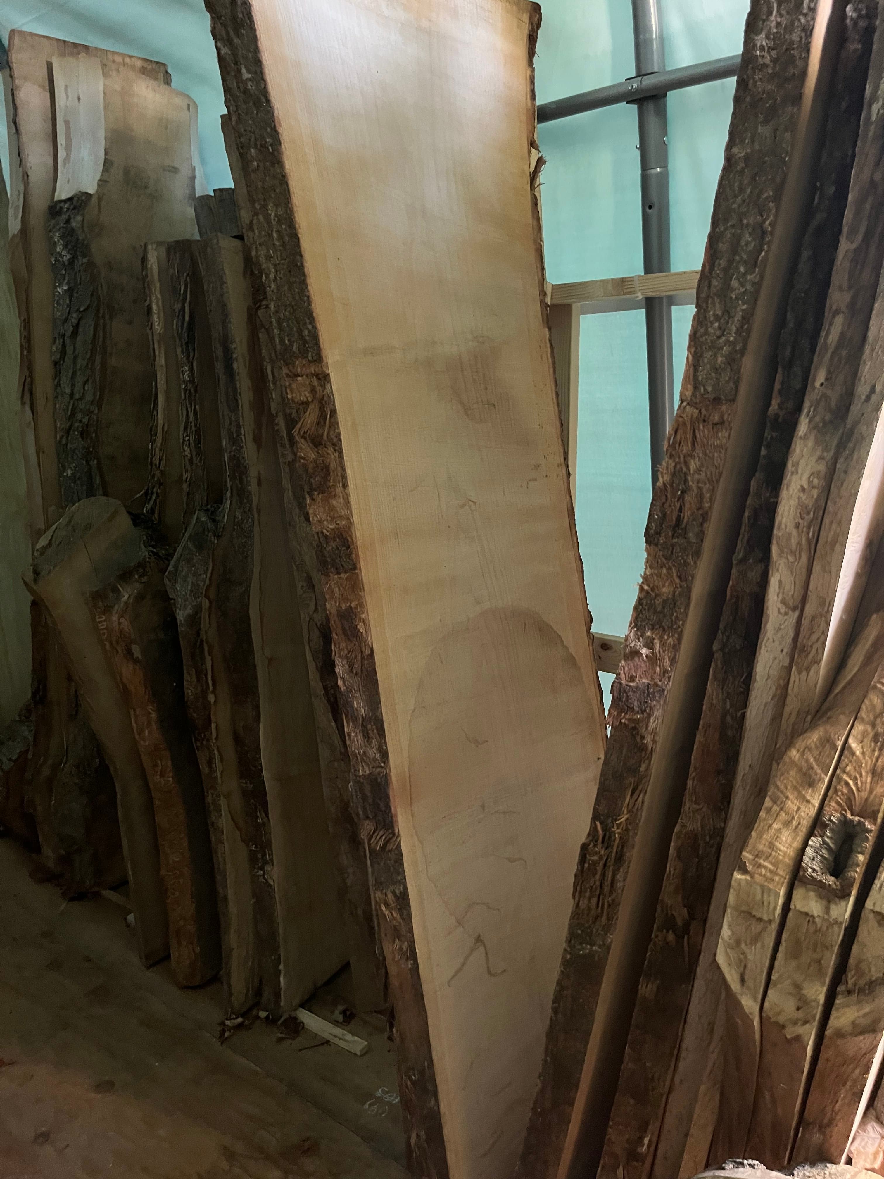 Slabs In Tent Storage End View | Tougas Timberworks Monroe CT