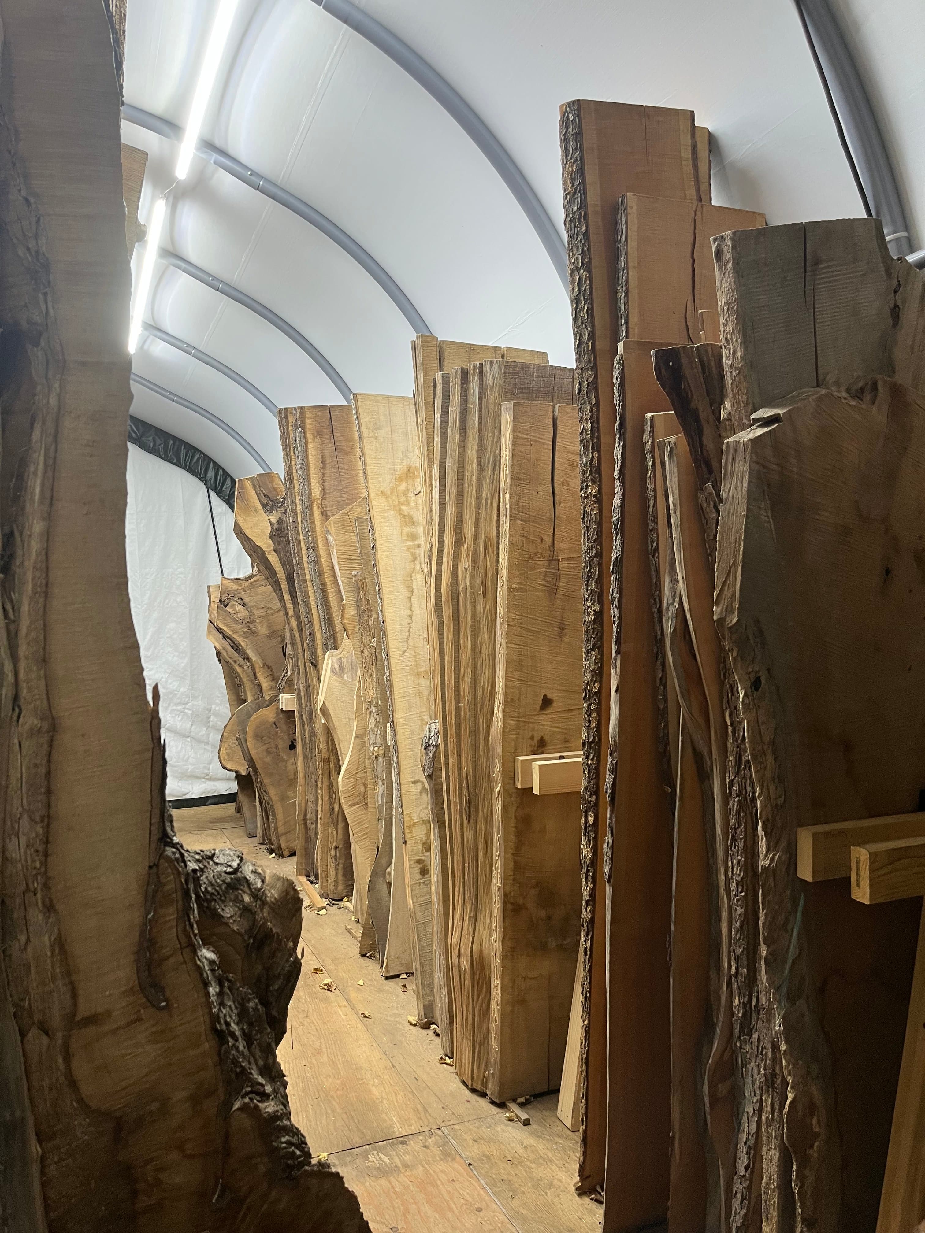 Slabs In Tent Storage Mixed | Tougas Timberworks Monroe CT