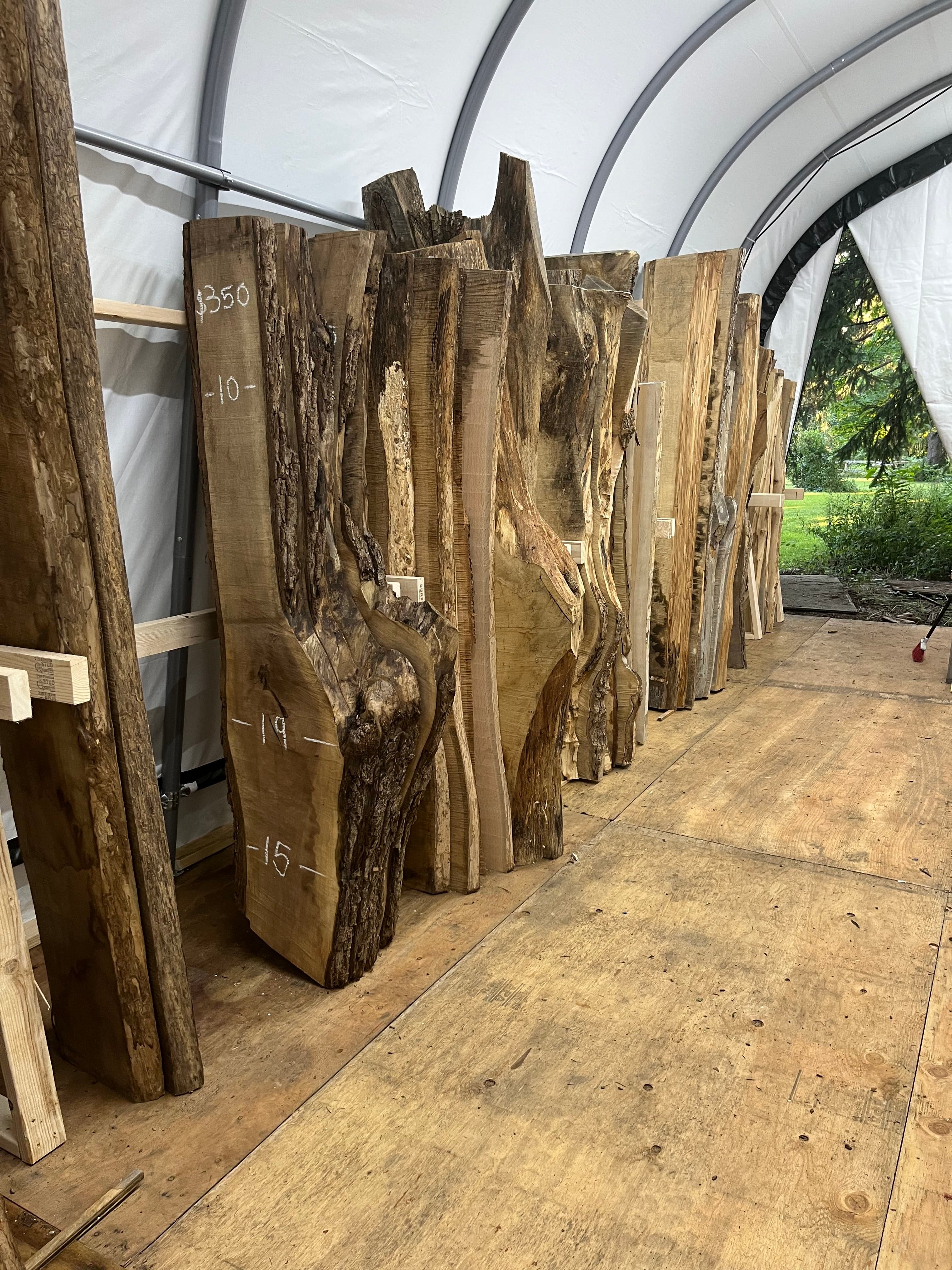 Slabs In Tent Storage With Stickers | Tougas Timberworks Monroe CT