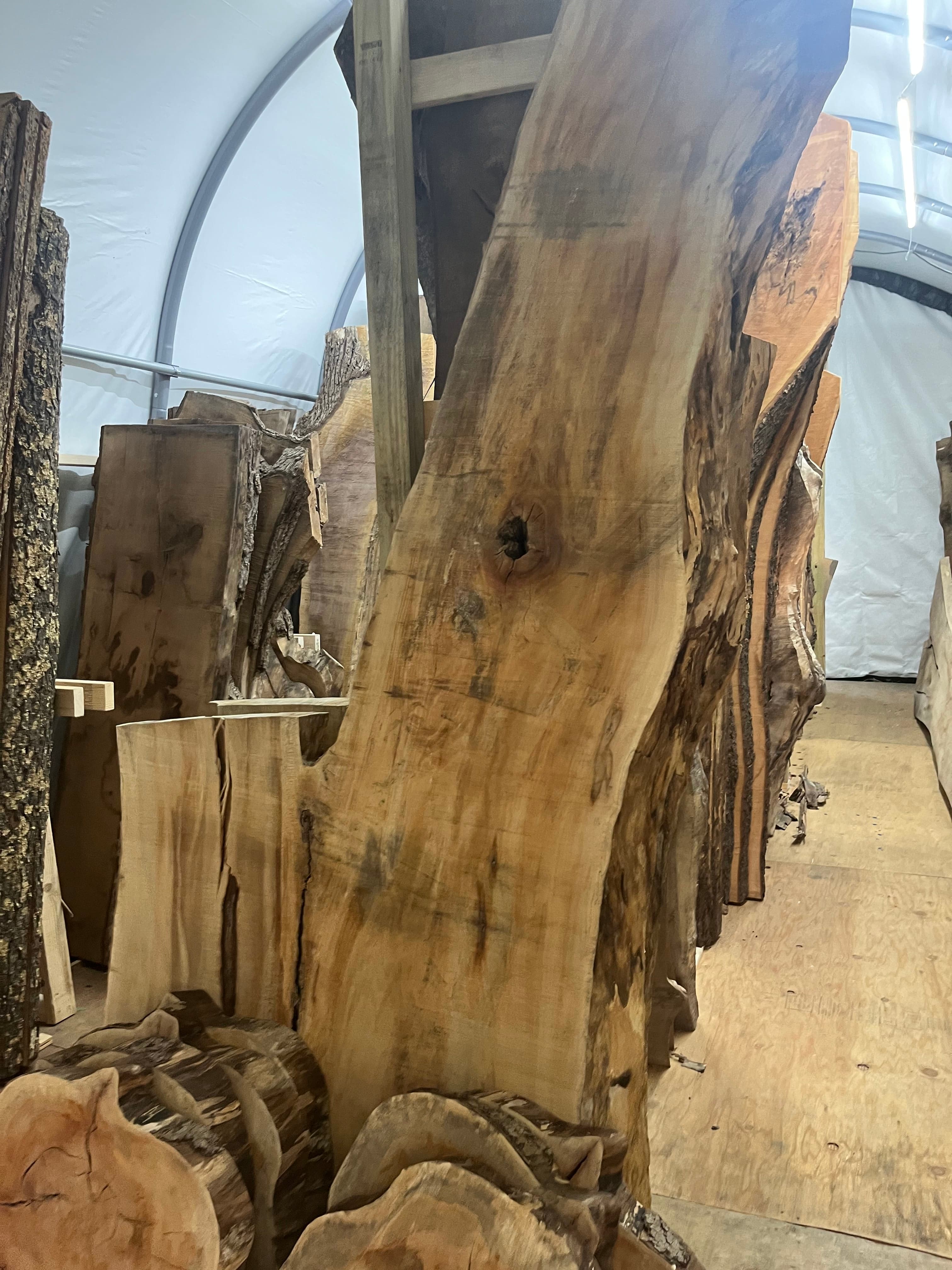 Slabs Stacked In Tent End View | Tougas Timberworks Monroe CT