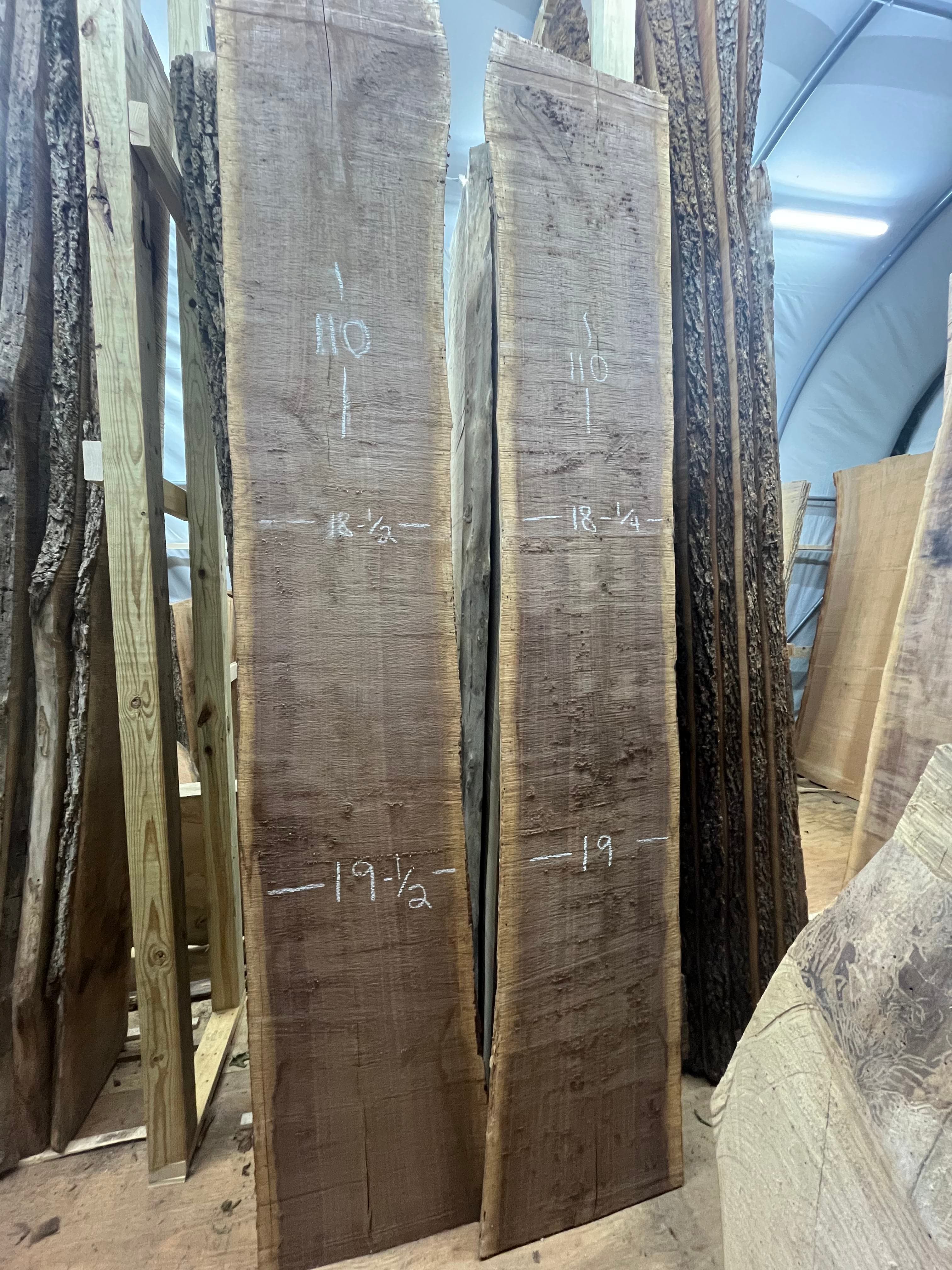 Two Walnut Slabs Chalk Measured In Tent | Tougas Timberworks Monroe CT