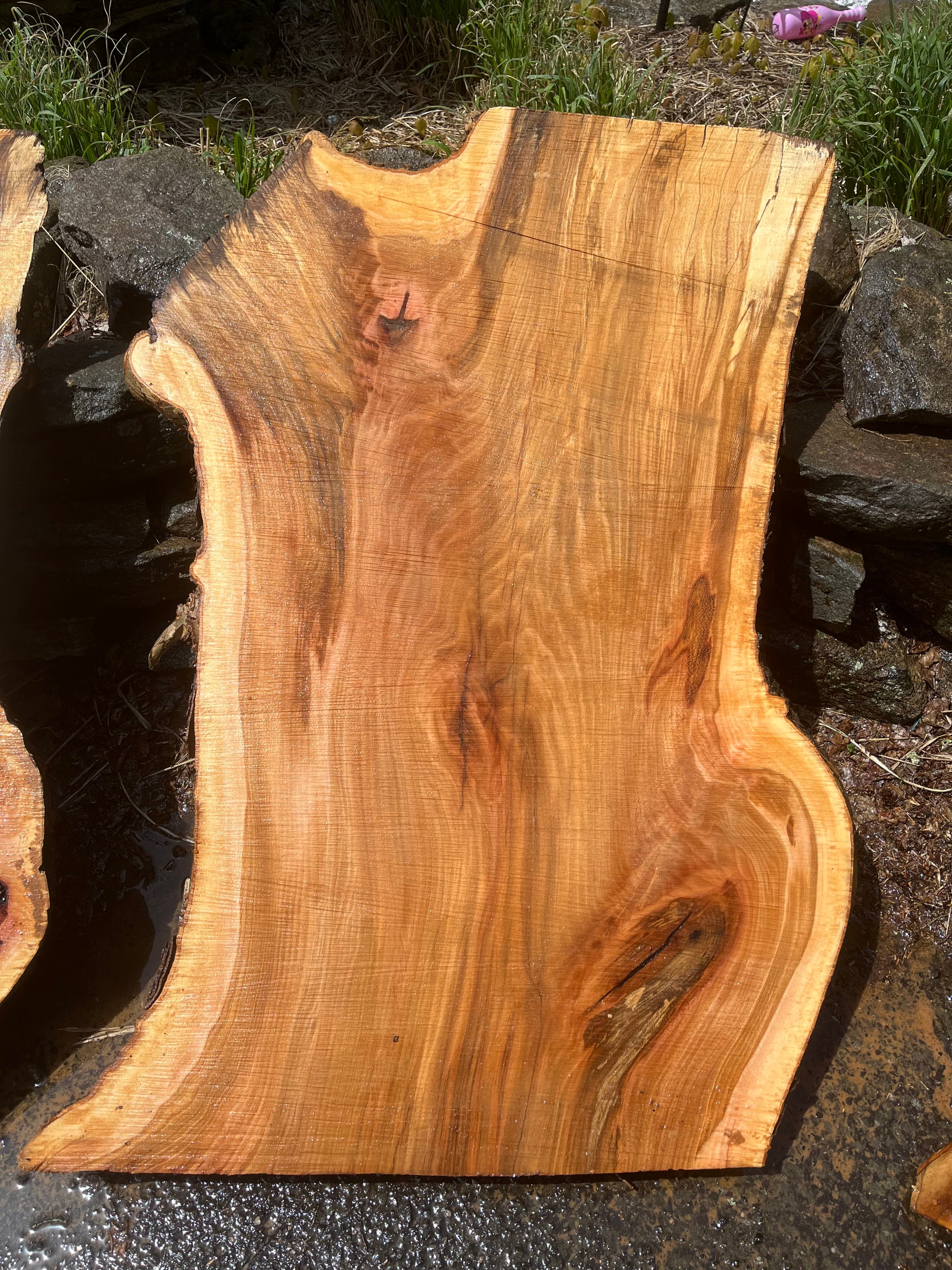 Walnut Slab Single On Rocks | Tougas Timberworks Monroe CT