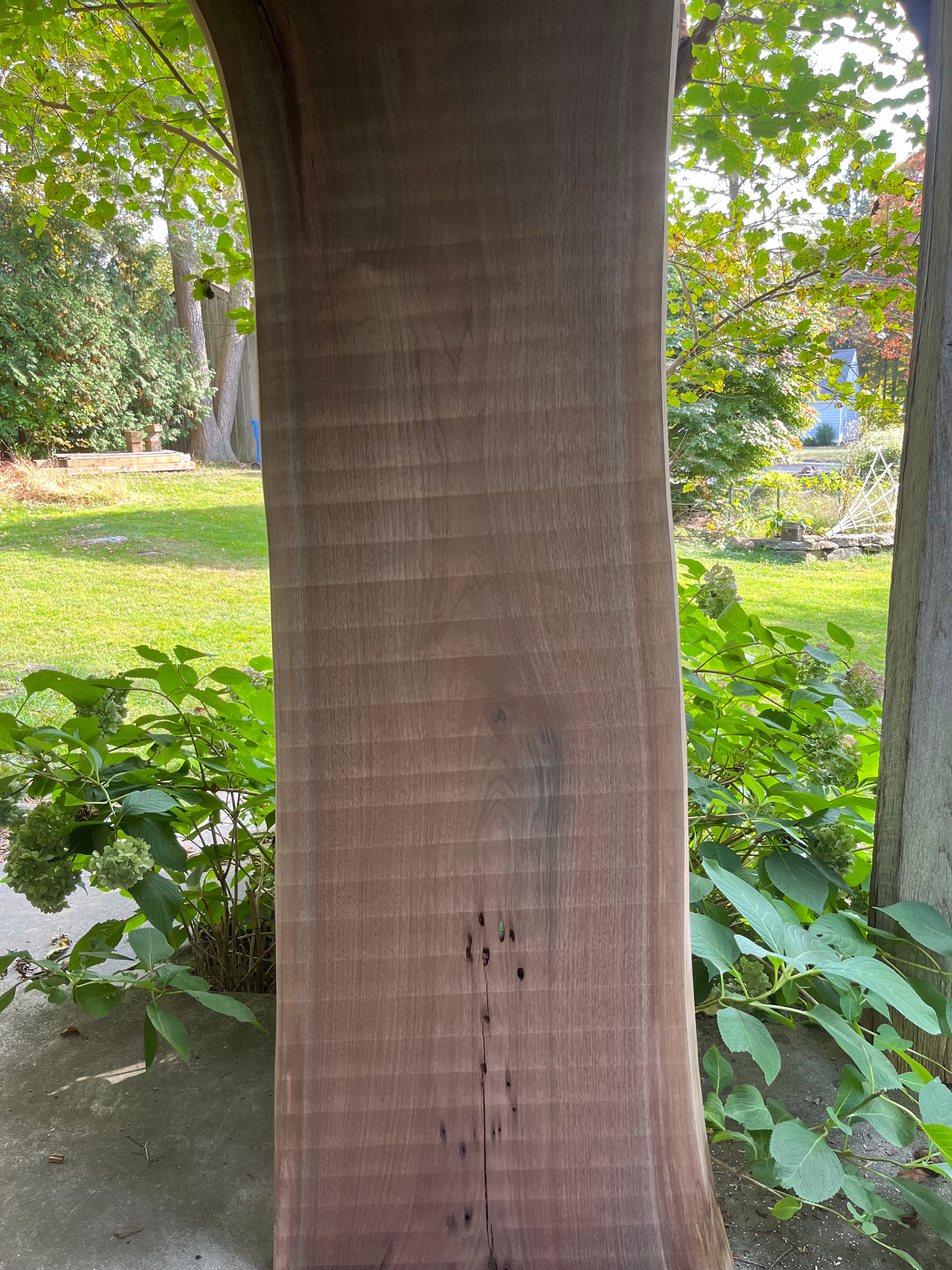 Walnut Slab Standing In Garden | Tougas Timberworks Monroe CT