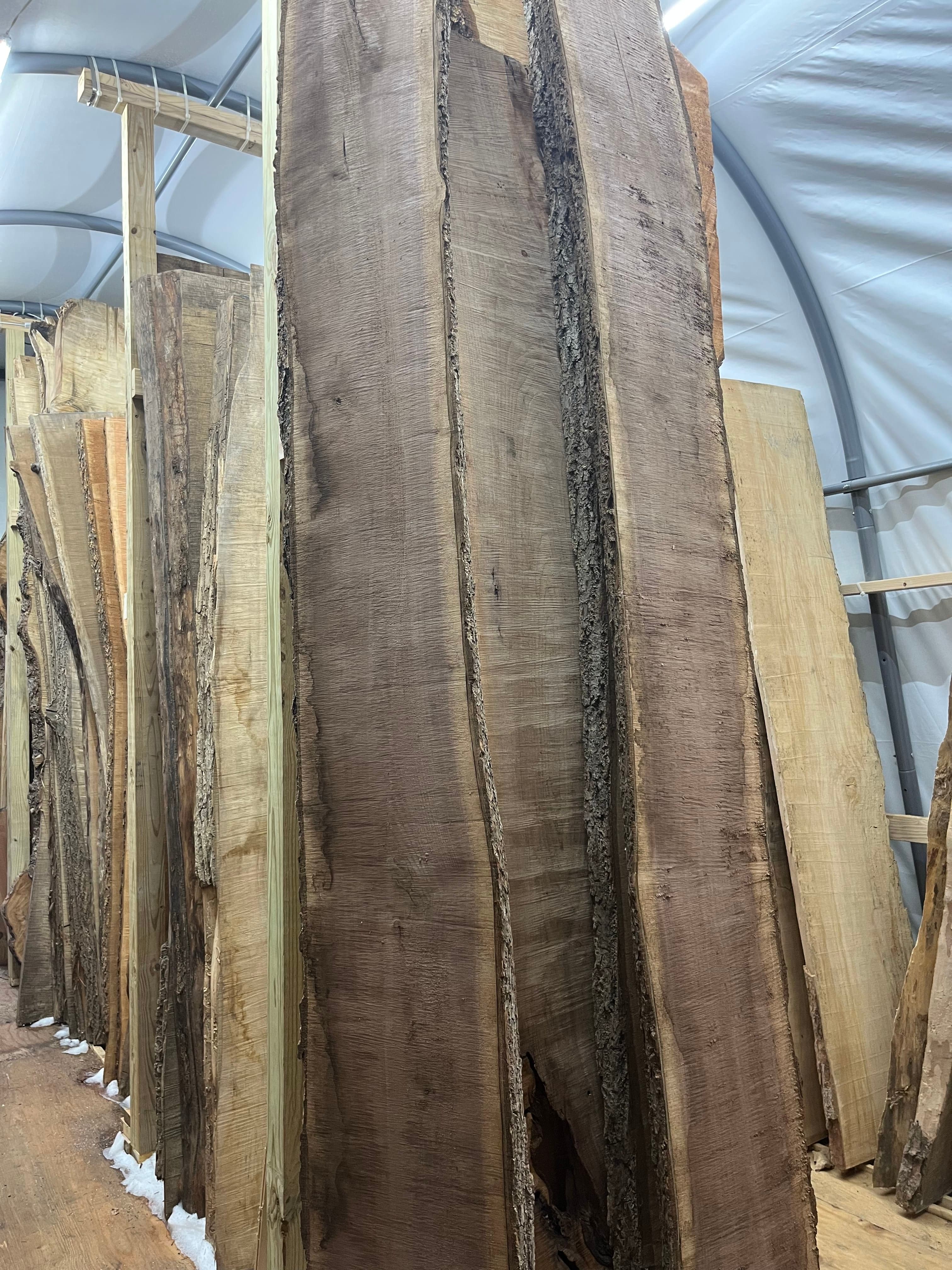 Walnut Slabs In Tent Storage | Tougas Timberworks Monroe CT