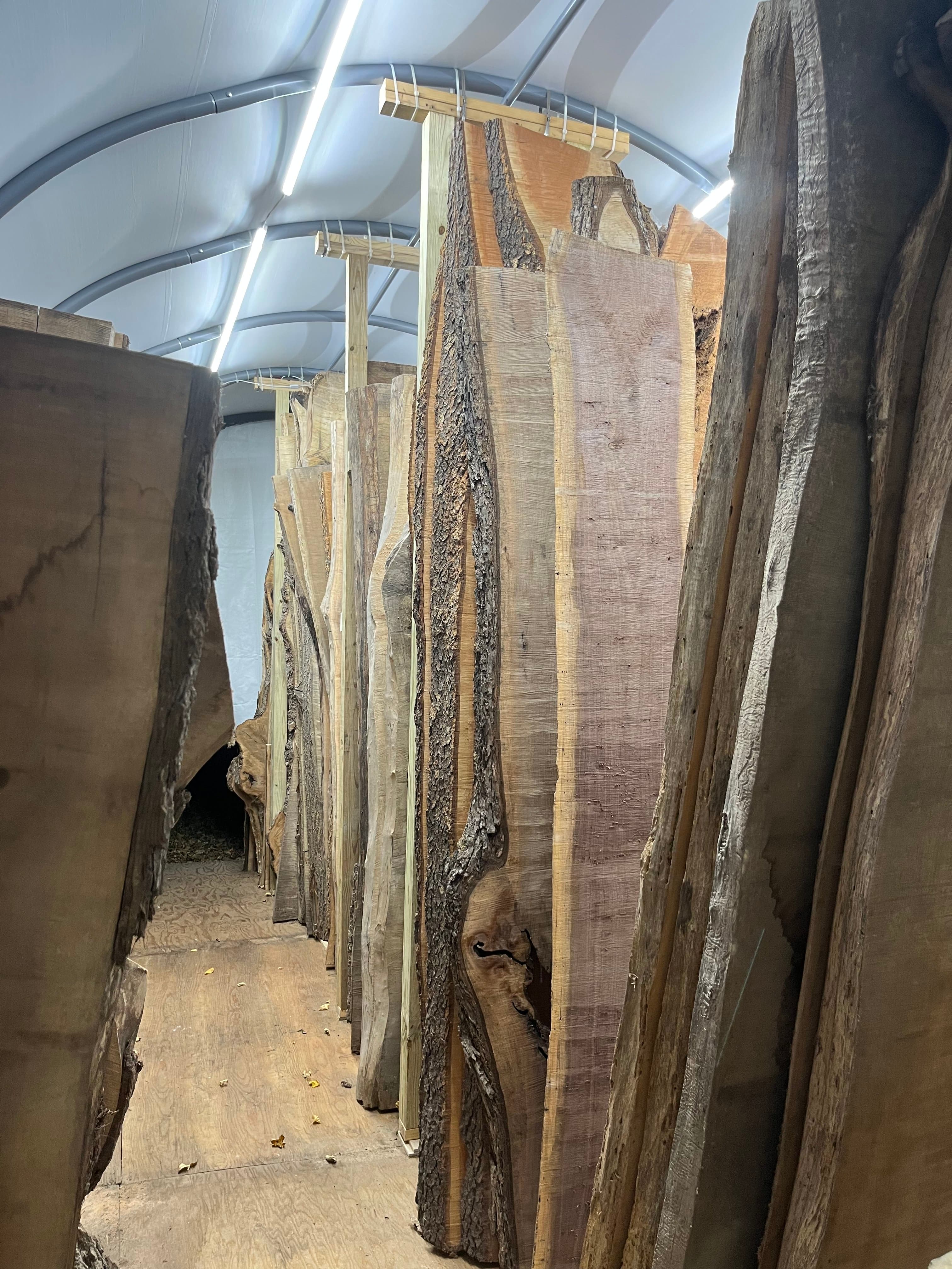 Walnut Slabs In Tent Storage | Tougas Timberworks Monroe CT
