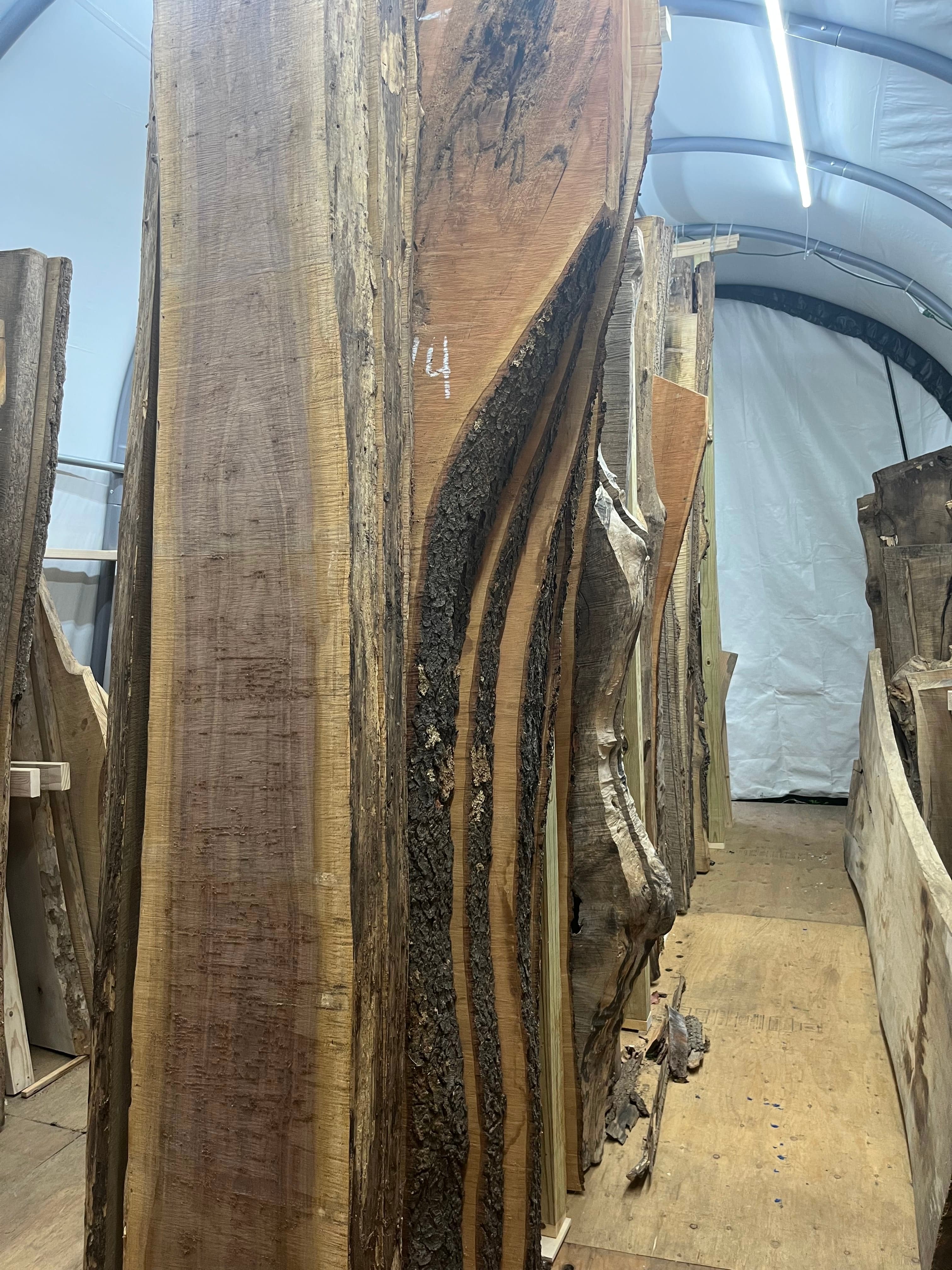 Walnut Slabs Stacked In Tent | Tougas Timberworks Monroe CT