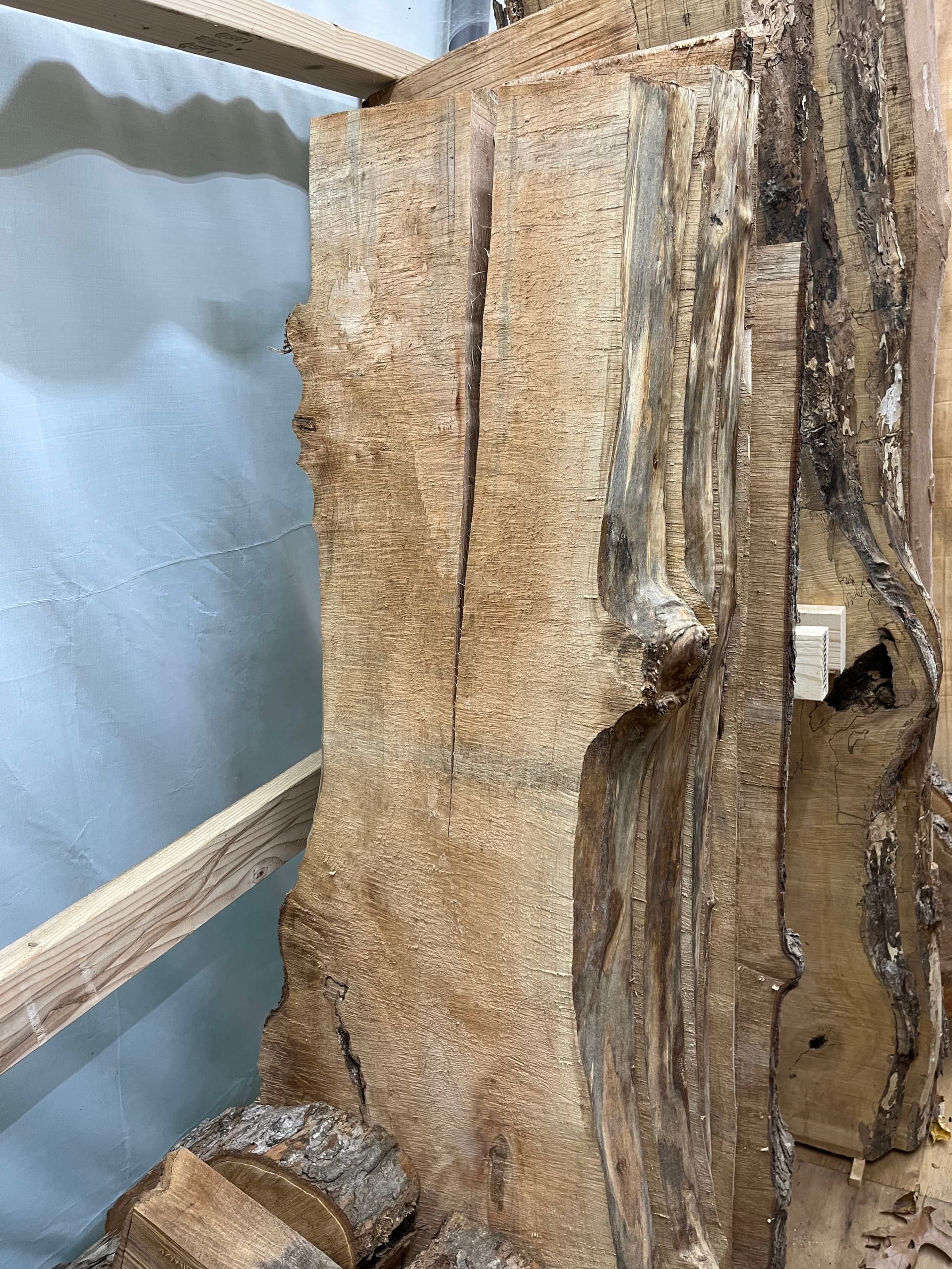 Close-up of the end grain on a kiln dried live edge slab